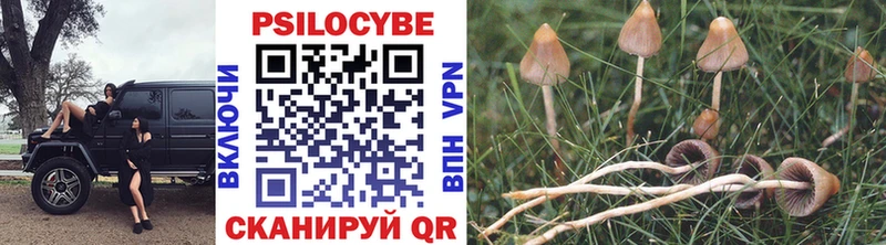 Псилоцибиновые грибы мухоморы  как найти закладки  Мглин 